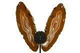 Agate Butterfly Wings - Brazil #322223-1